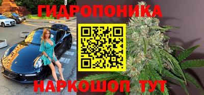 прущие крисы Кизилюрт