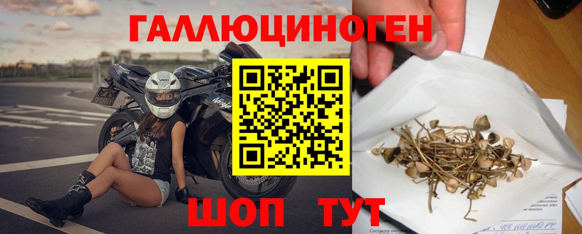 Амурск  Галлюциногенные грибы мухоморы  Галлюциногенные грибы мухоморы  Вход с VPN 